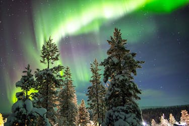 Caza la aurora boreal durante un recorrido en moto de nieve que incluye un picnic